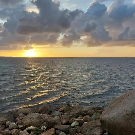 Forest Retreat In Bork Havn - By Traum Ferienhaus Hemmet