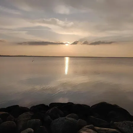 Forest Retreat In Bork Havn - By Traum Ferienhaus Hemmet