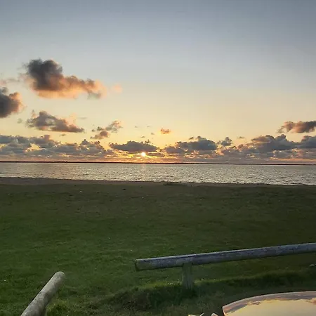 Forest Retreat In Bork Havn - By Traum Ferienhaus