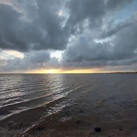 Forest Retreat In Bork Havn - By Traum * Hemmet