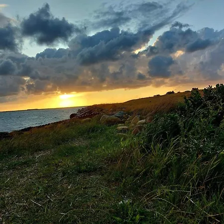 Forest Retreat In Bork Havn - By Traum Ferienhaus