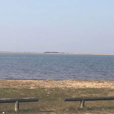 Forest Retreat In Bork Havn - By Traum Hemmet