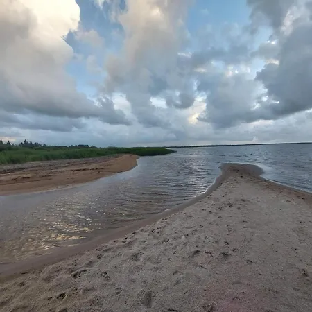 Ferienhaus Forest Retreat In Bork Havn - By Traum Hemmet